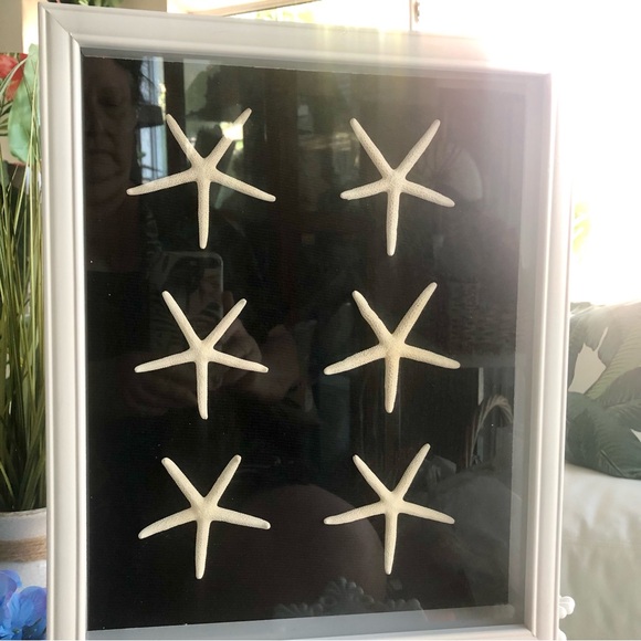 New! Starfish Framed Shadow Box Art - Picture 1 of 8